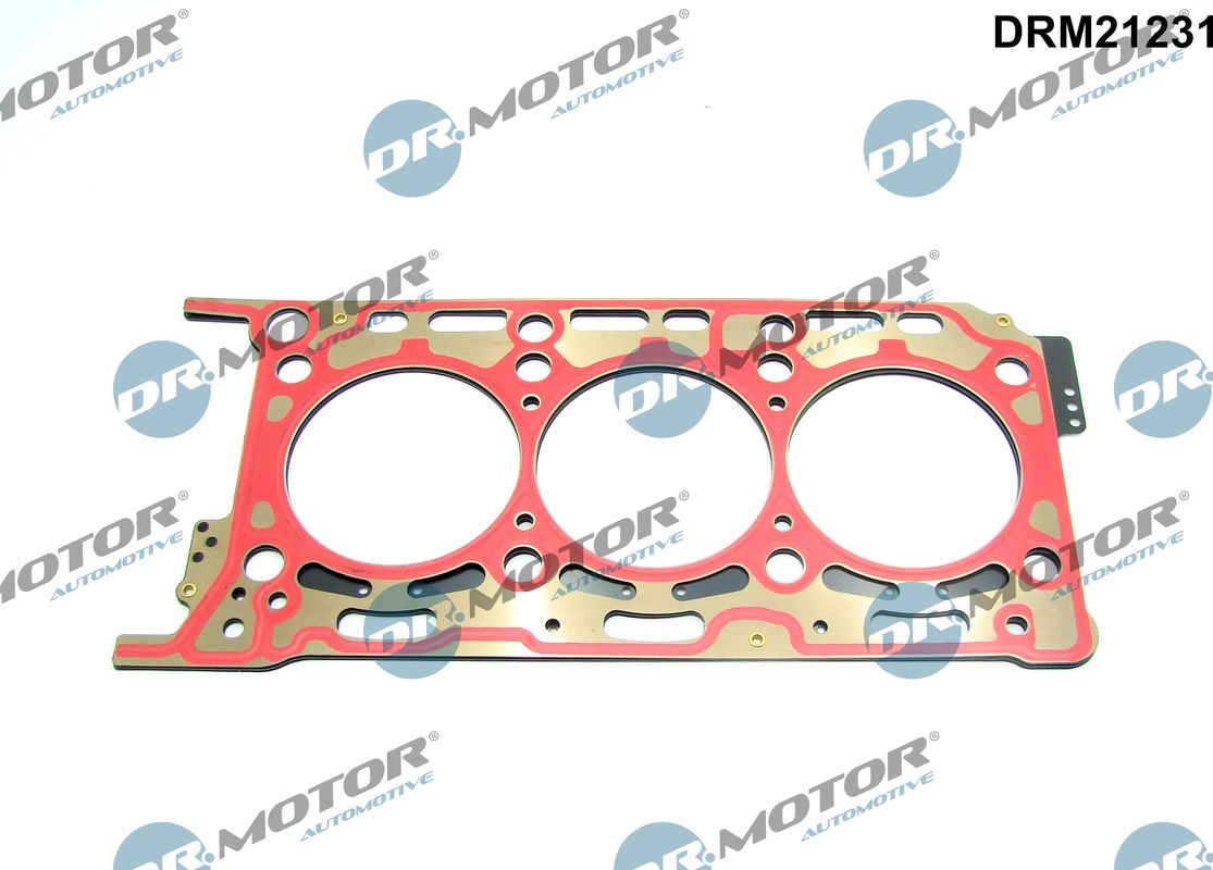 DRM21231