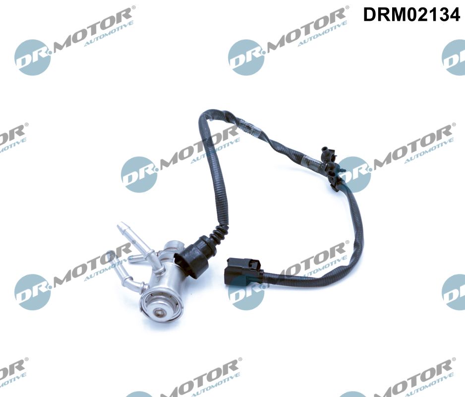 DRM02134
