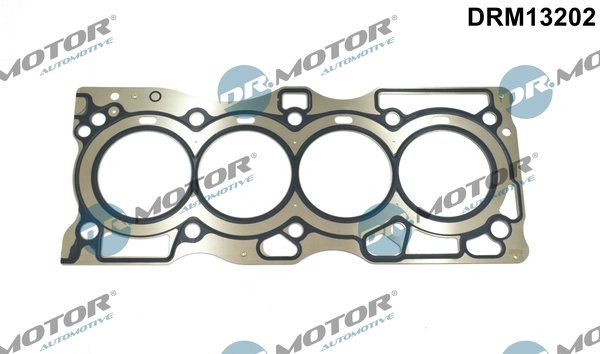 DRM13202