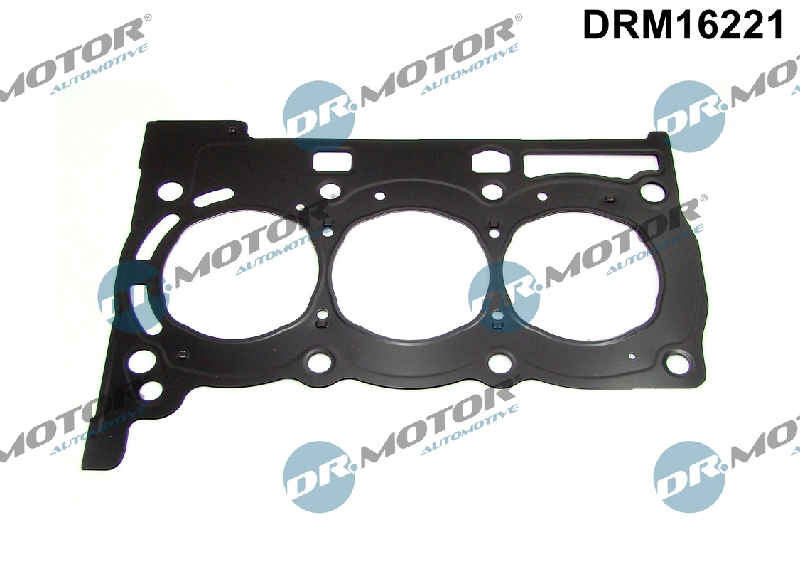 DRM16221