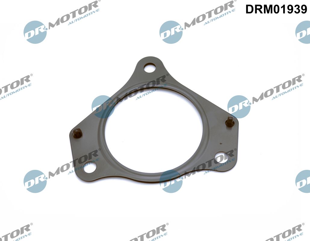 DRM01939