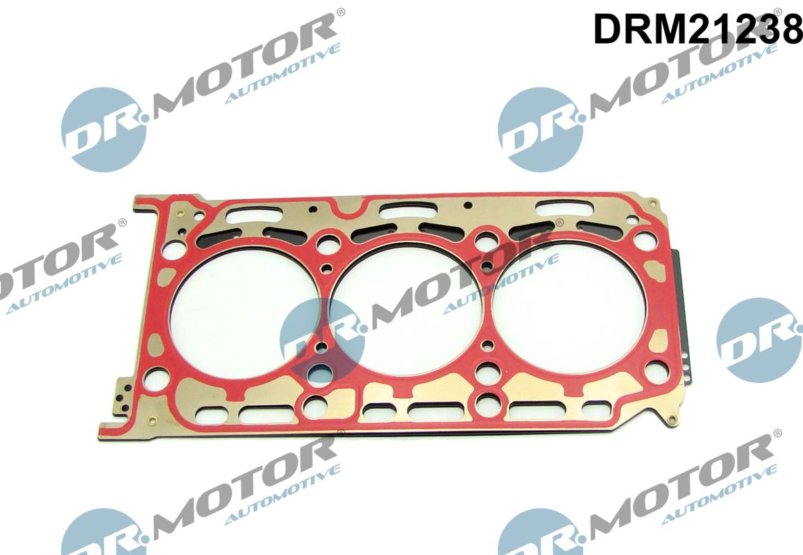 DRM21238