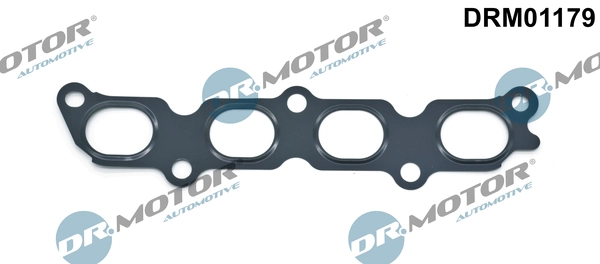 DRM01179