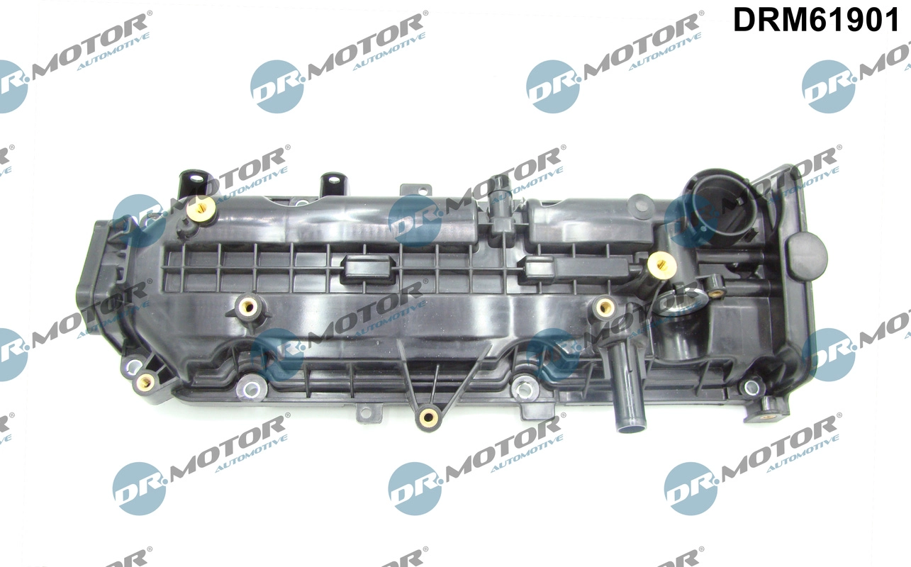 DRM61901