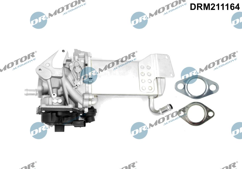 DRM211164
