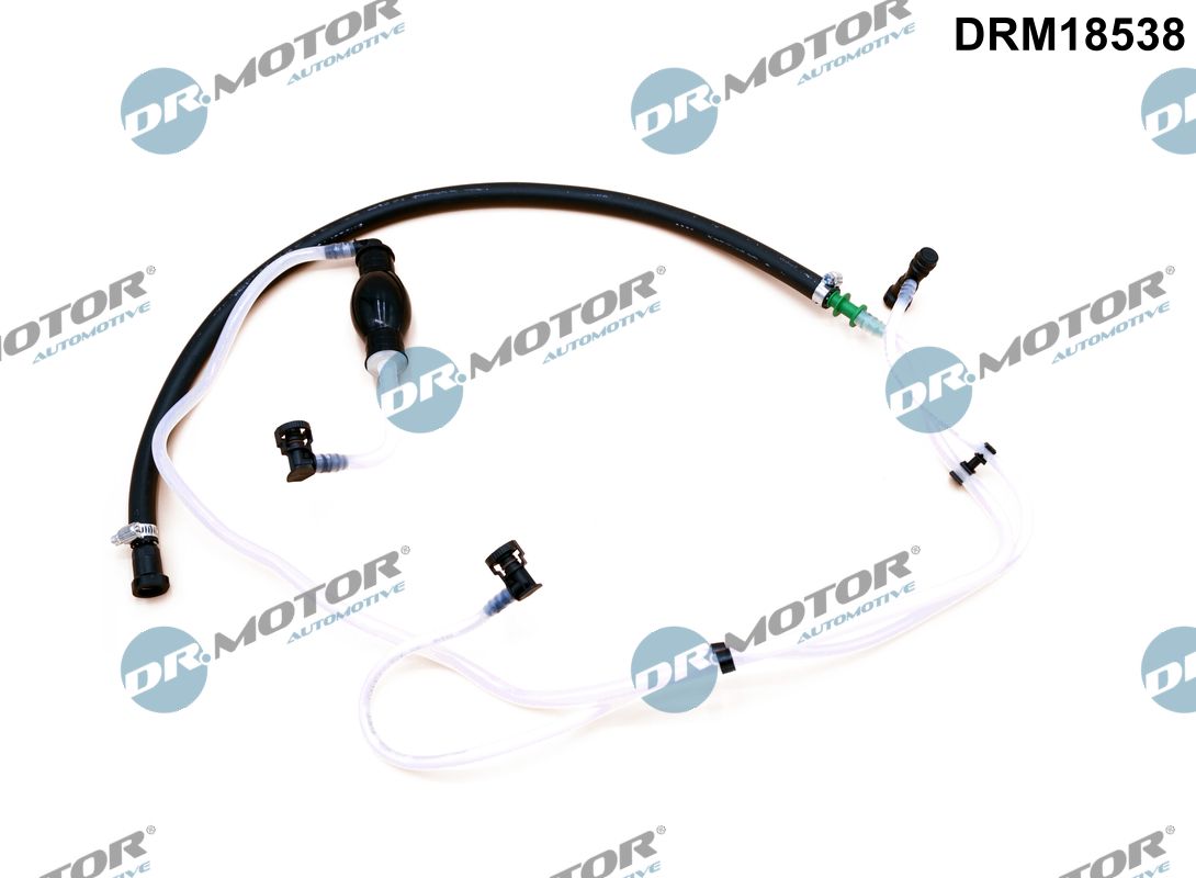 DRM18538