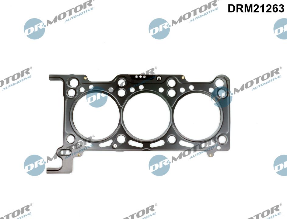 DRM21263