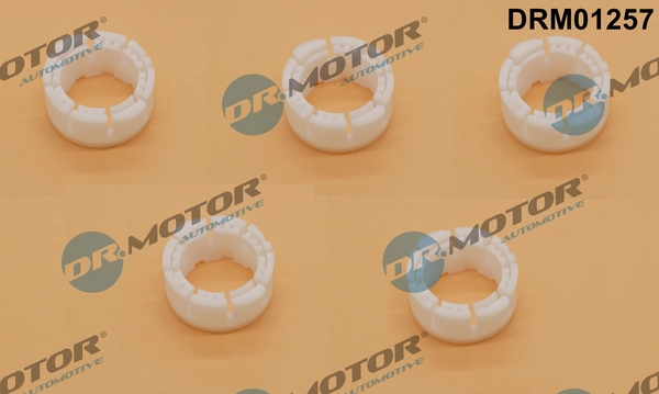 DRM01257