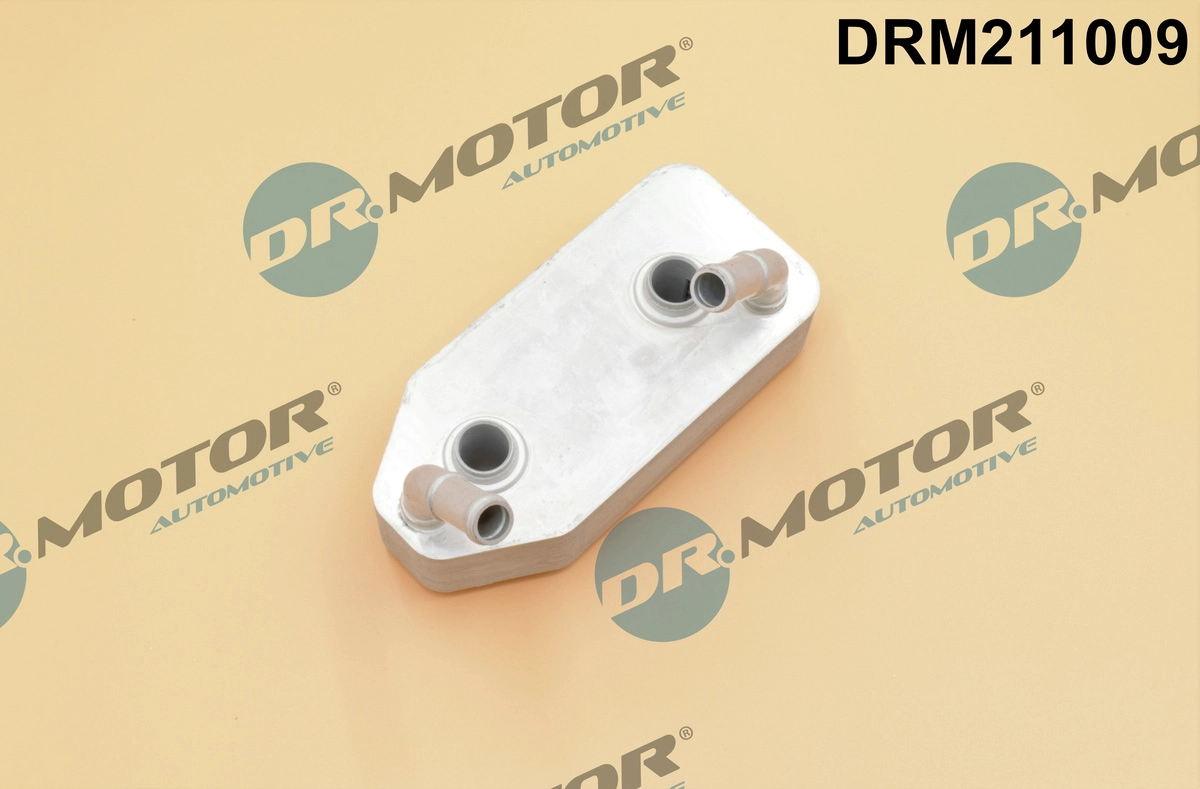 DRM211009