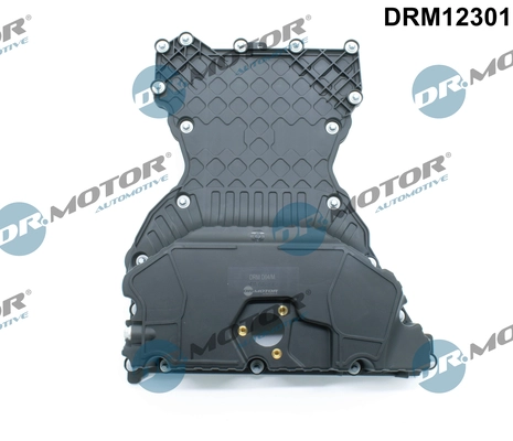 DRM12301