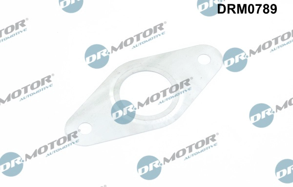 DRM0789