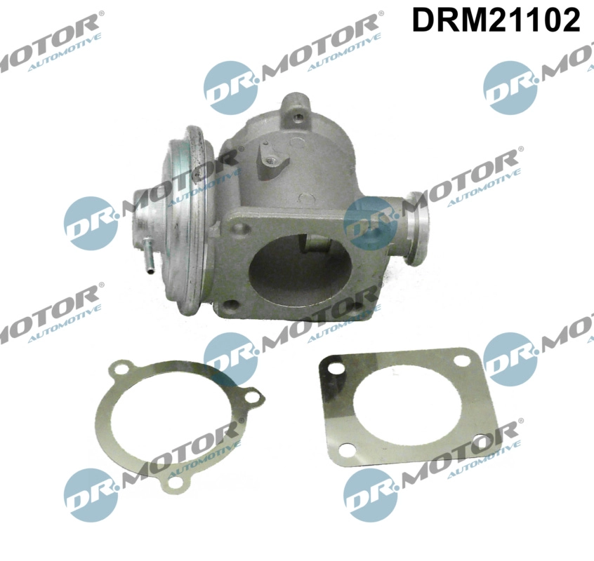 DRM21102