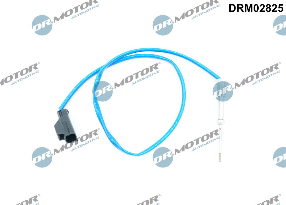 DRM02825