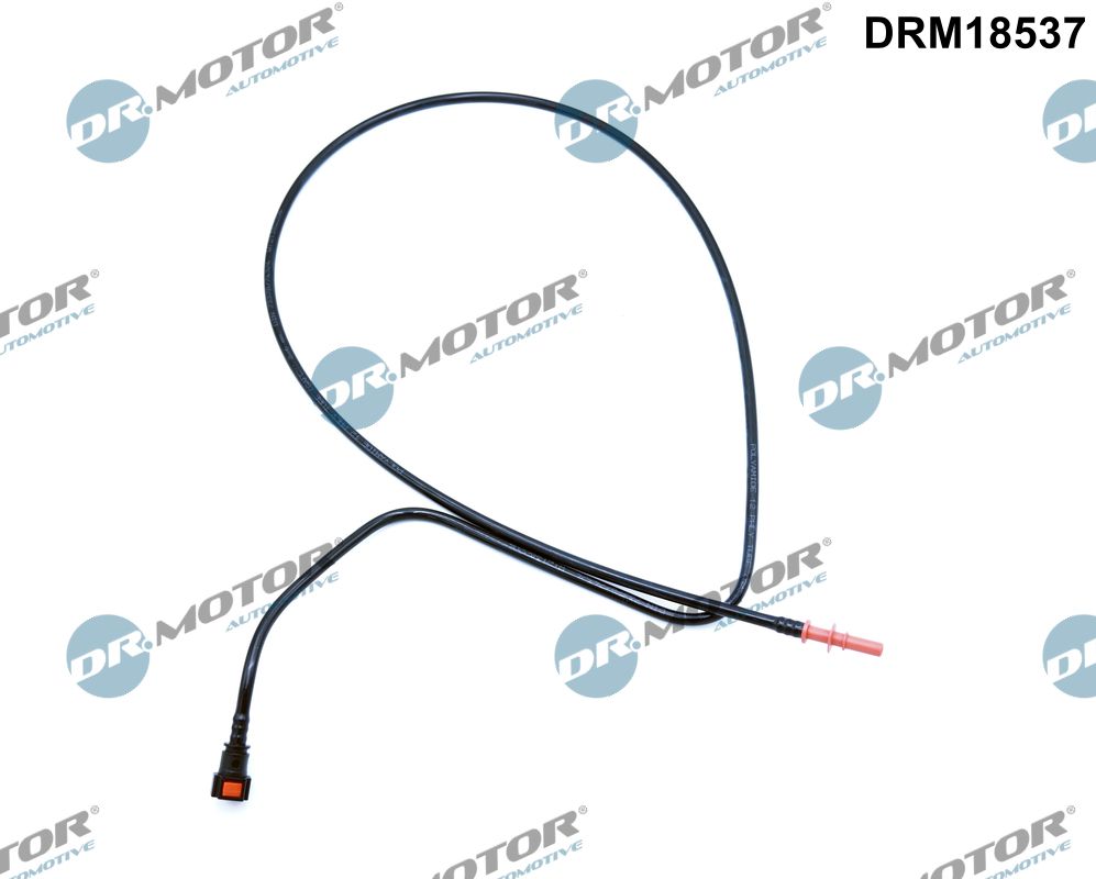 DRM18537