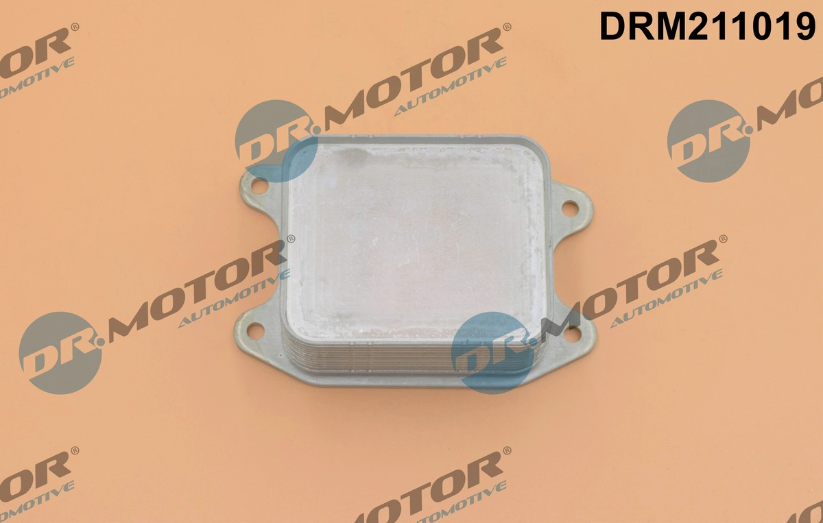 DRM211019