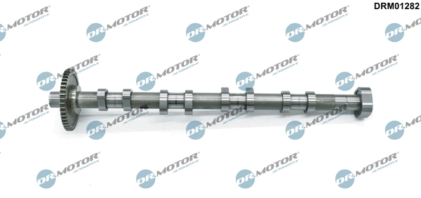 DRM01282