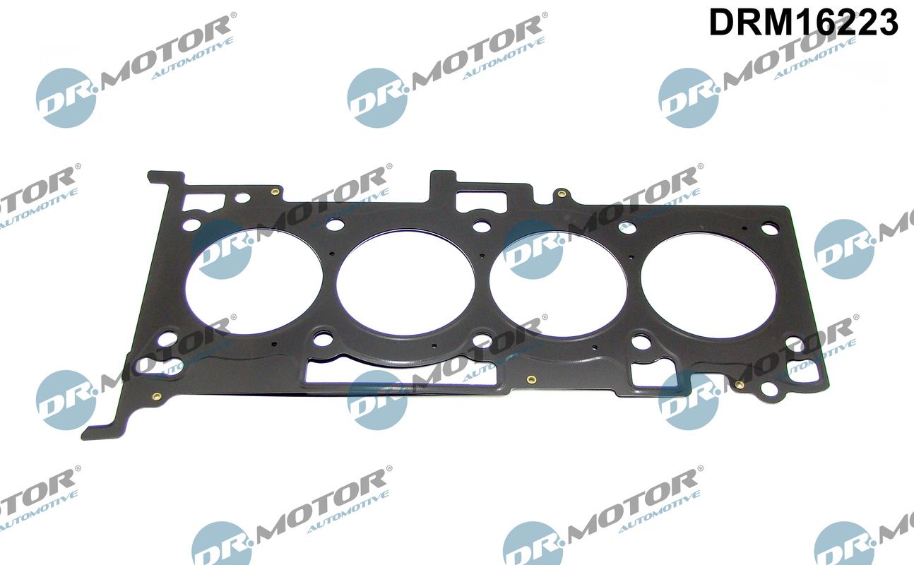 DRM16223