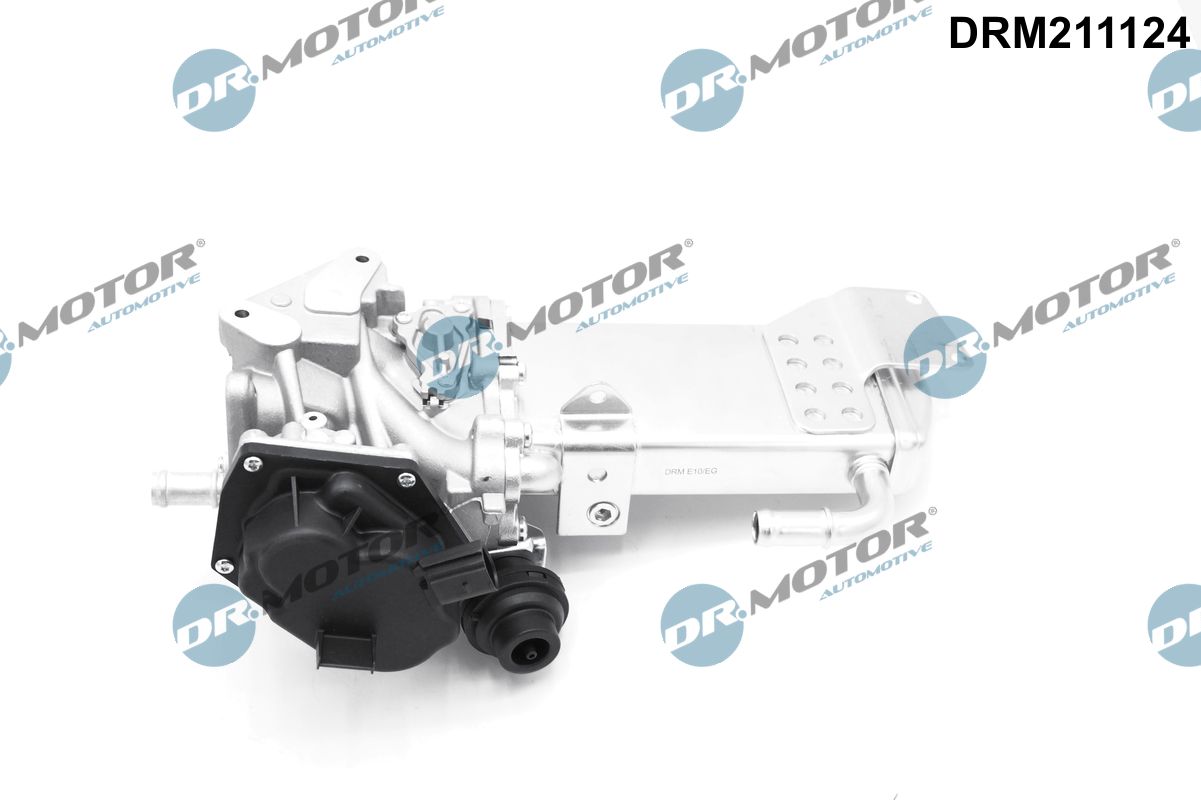DRM211124