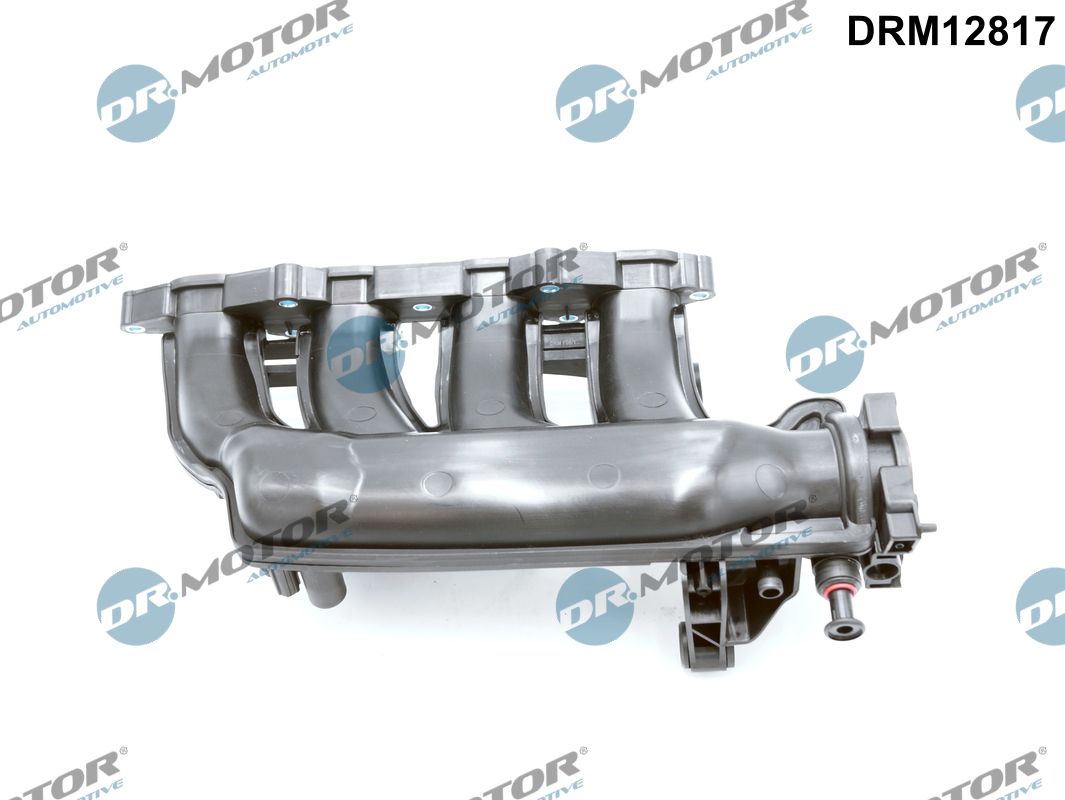 DRM12817