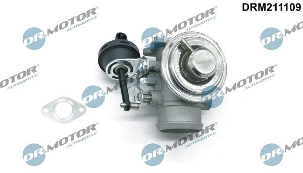 DRM211109