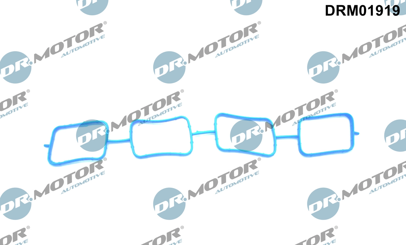 DRM01919