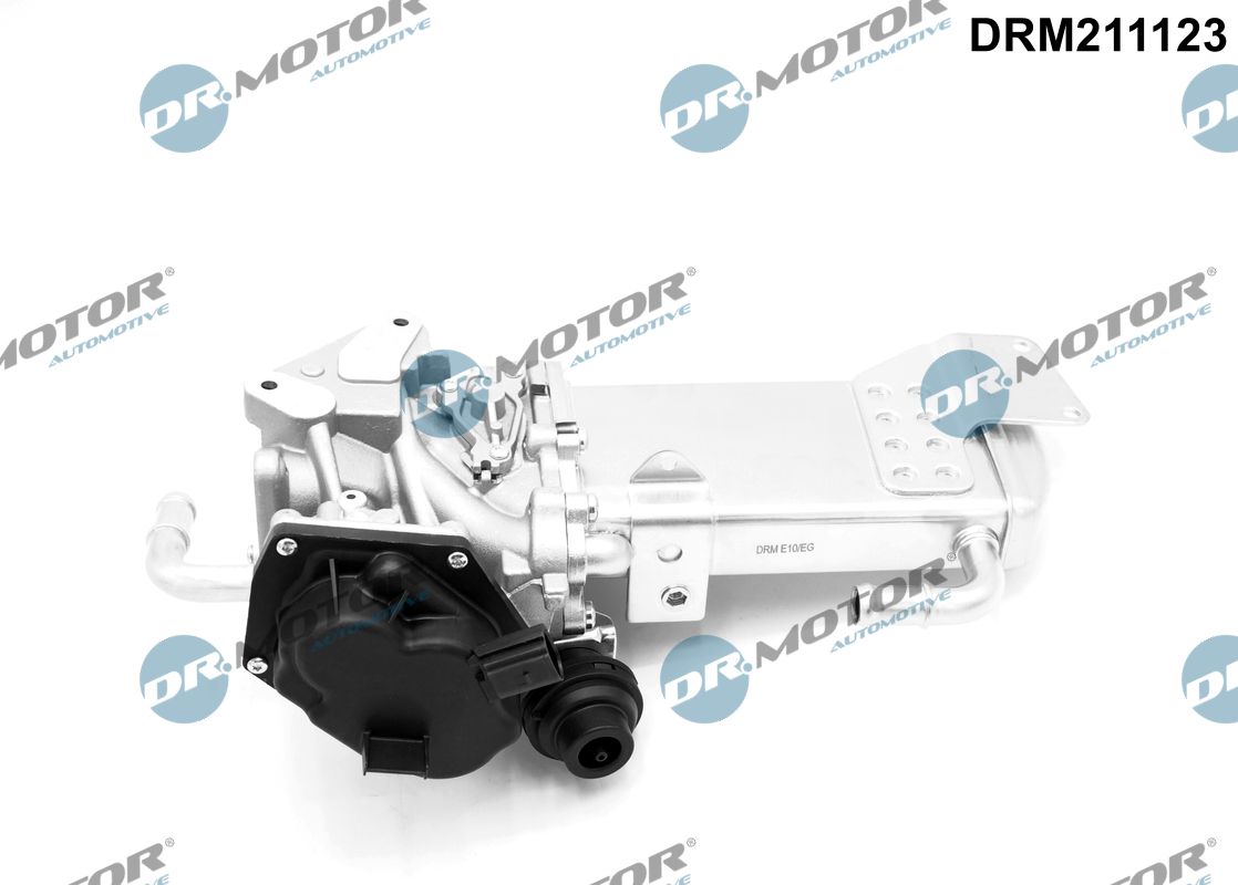 DRM211123