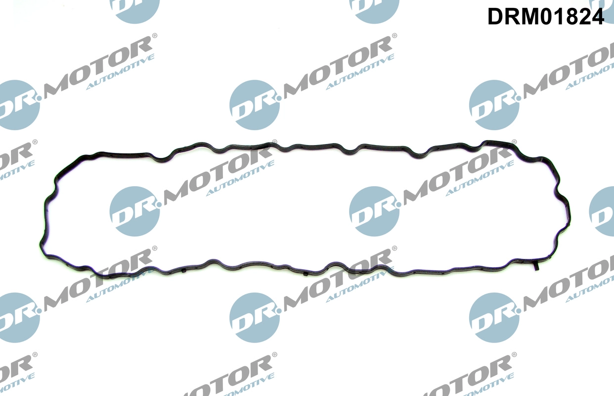 DRM01824