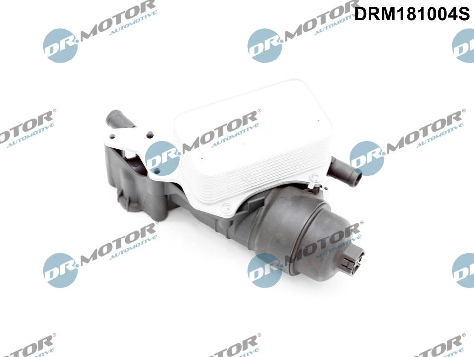 DRM181004S