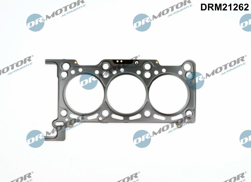 DRM21262