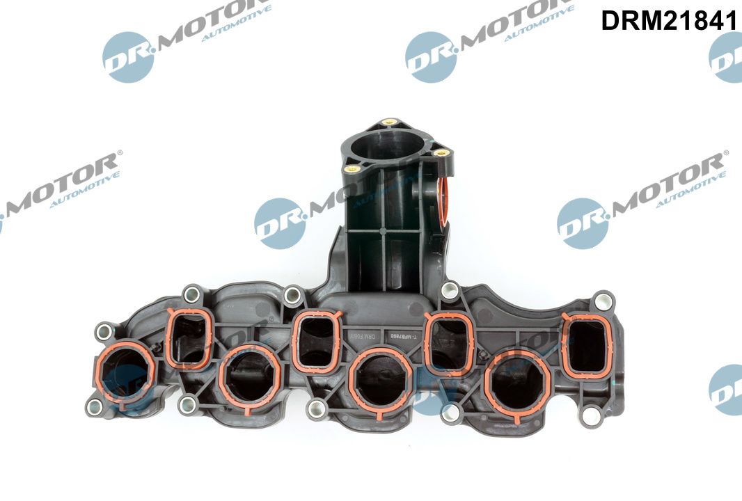 DRM21841