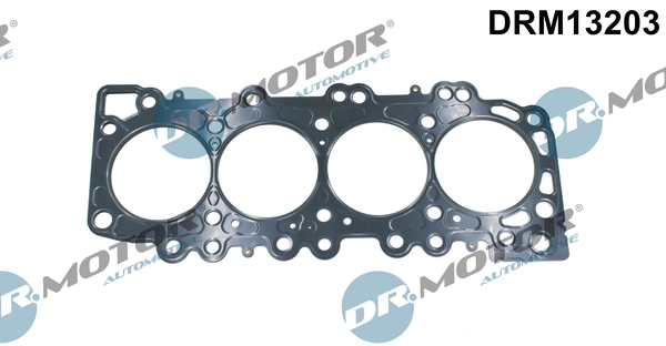 DRM13203