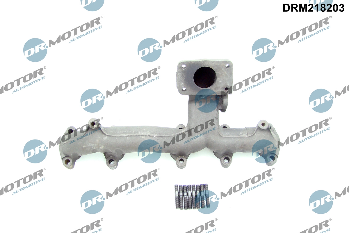 DRM218203