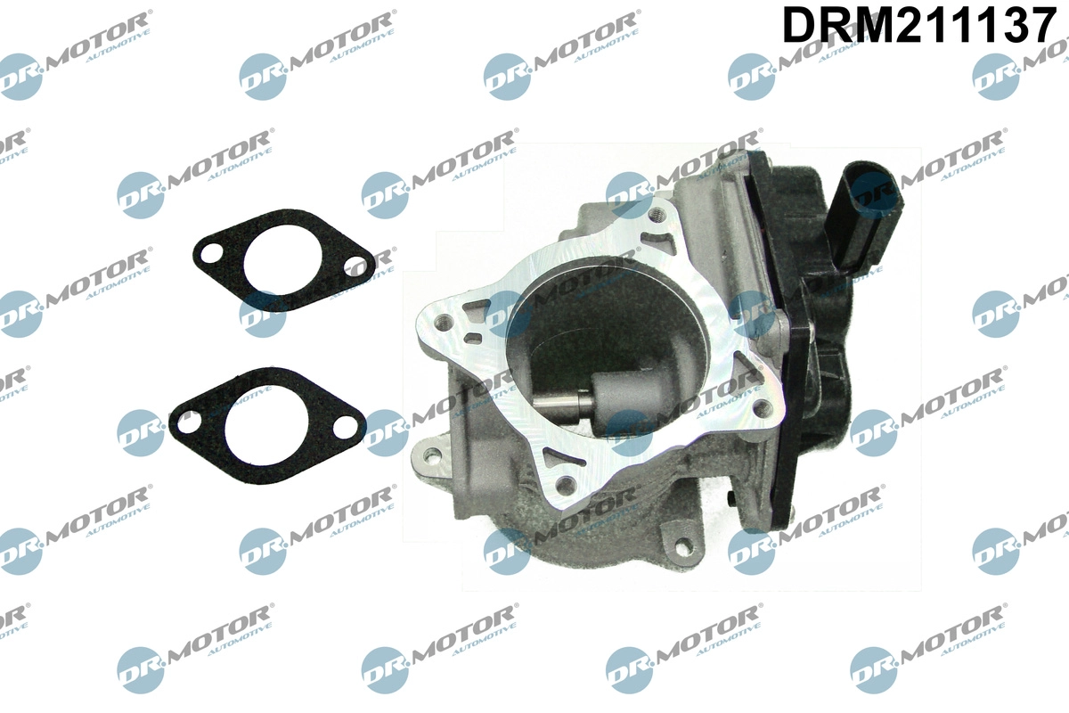 DRM211137