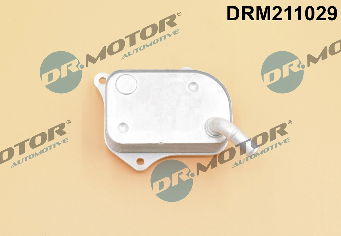 DRM211029