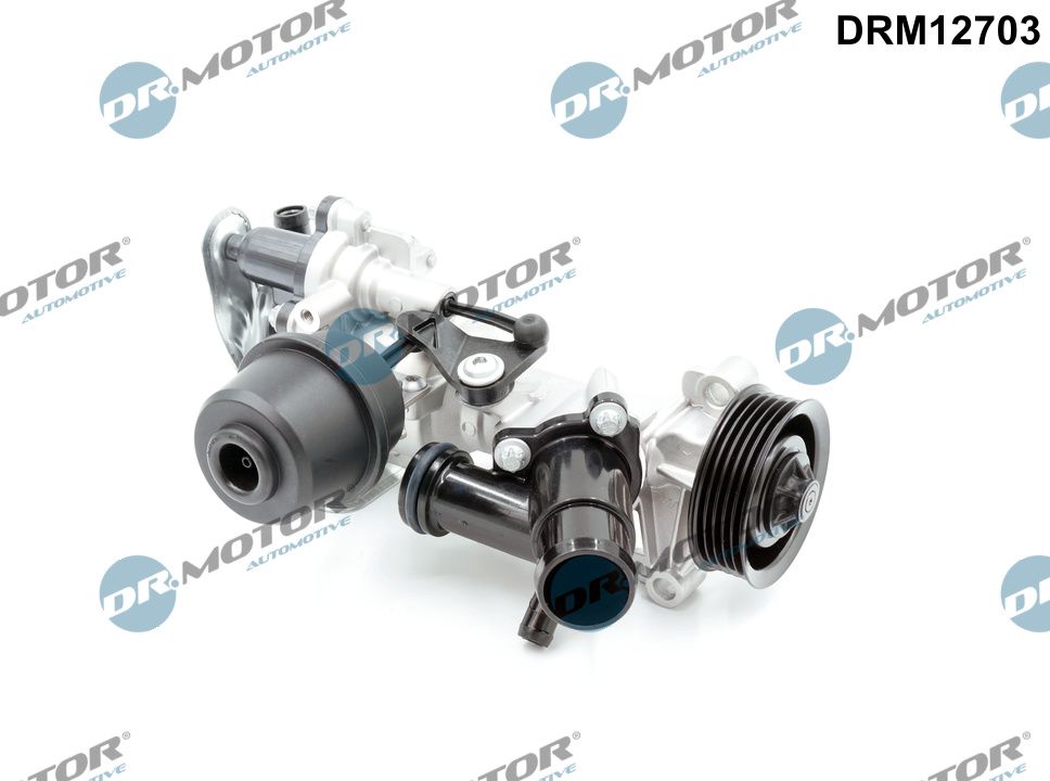 DRM12703