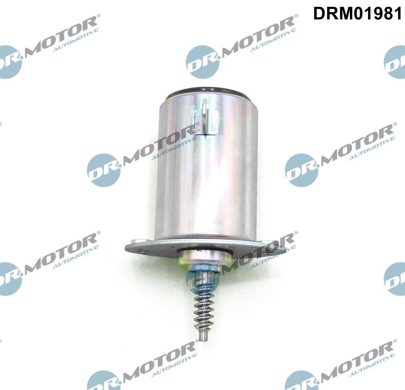 DRM01981
