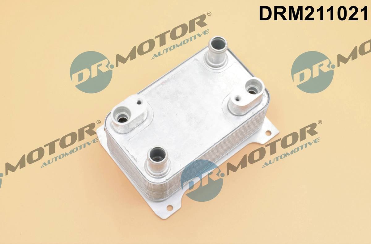 DRM211021