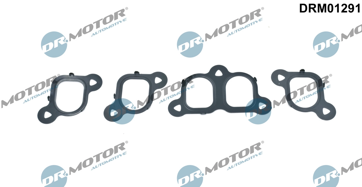 DRM01291