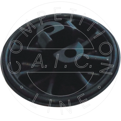 55982