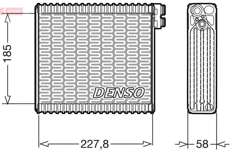 DEV09011