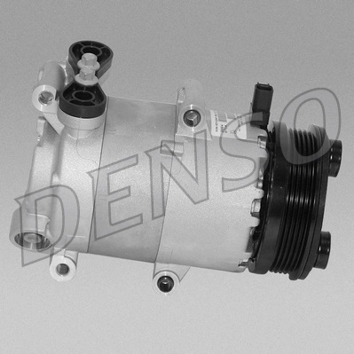 DCP10020