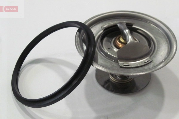 DTM79653