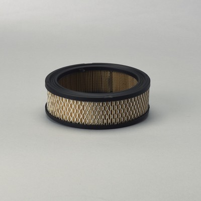 P528231