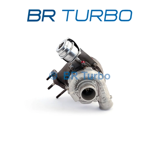 782404-5001RS