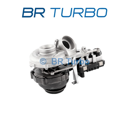 752990-5001RSG