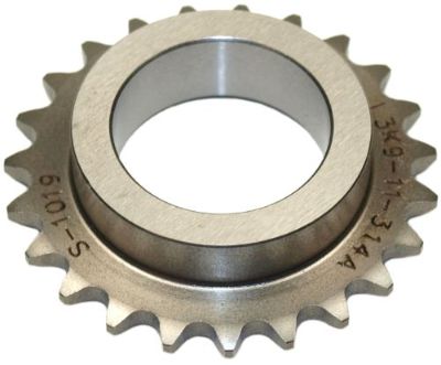S1019