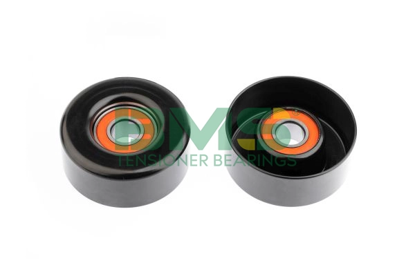 BMS 055