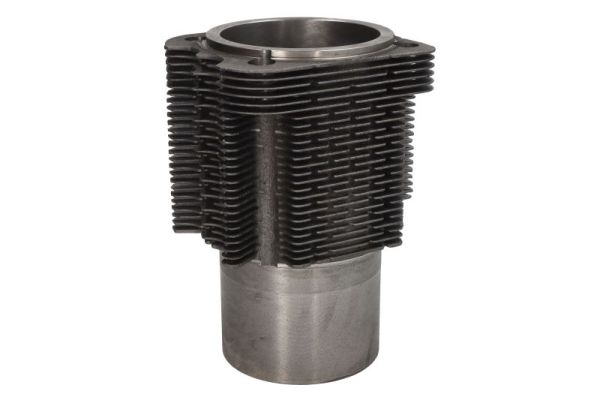ENT060013 STD