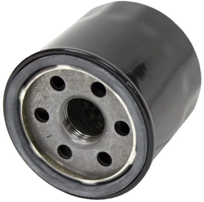 P700113