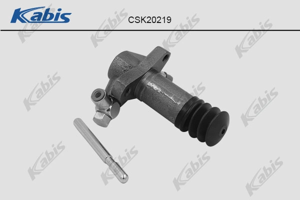 CSK20219